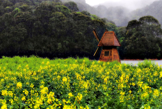 佛山中；；；；；峋傩写踊湃讼裆阌安煞缭硕