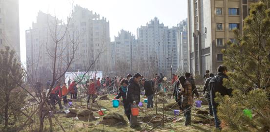 贺呼市皇冠体育·凯旋门“我与小树共生长”树木认养运动圆满乐成