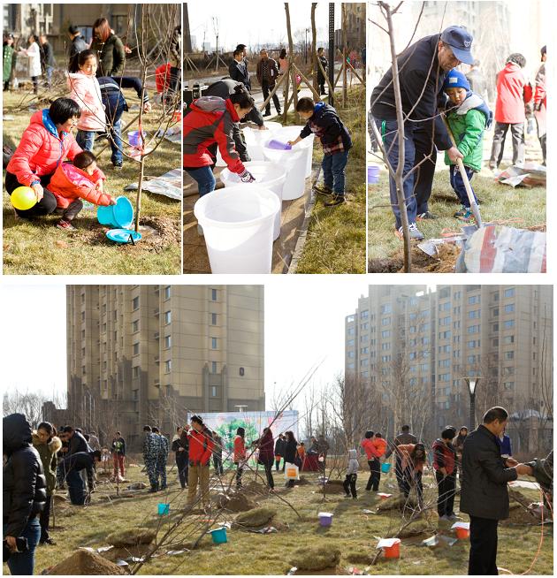 贺呼市皇冠体育·凯旋门“我与小树共生长”树木认养运动圆满乐成