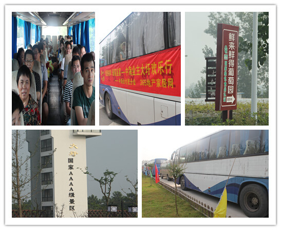 皇冠体育唬汇合肥分会业主大圩欢喜行运动圆满竣事