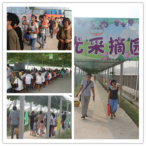 皇冠体育唬汇合肥分会业主大圩欢喜行运动圆满竣事